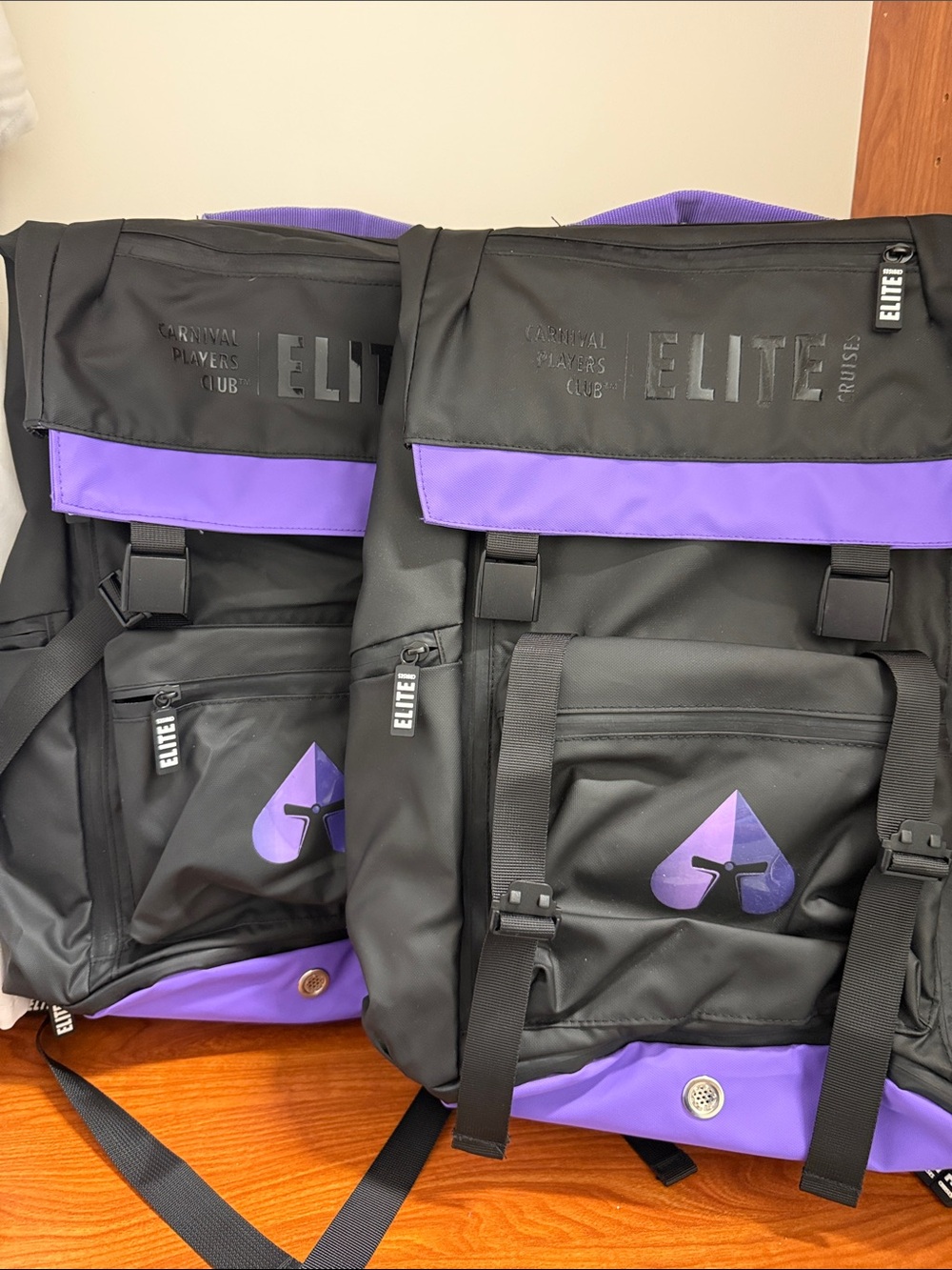 Black & Purple Men's Roll-Top Backpack